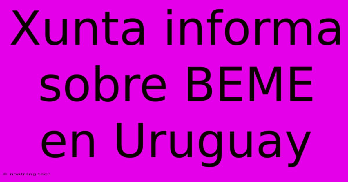 Xunta Informa Sobre BEME En Uruguay Xunta Informa Sobre BEME En Uruguay