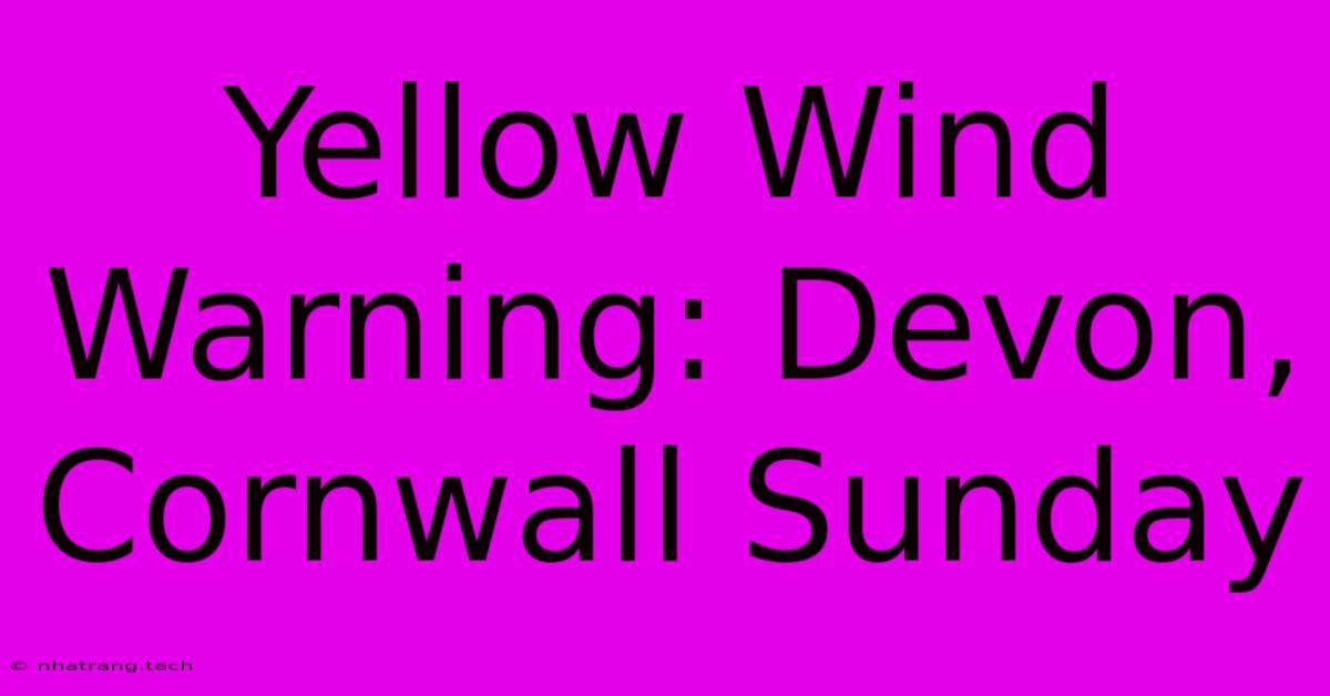Yellow Wind Warning: Devon, Cornwall Sunday Yellow Wind Warning: Devon, Cornwall Sunday