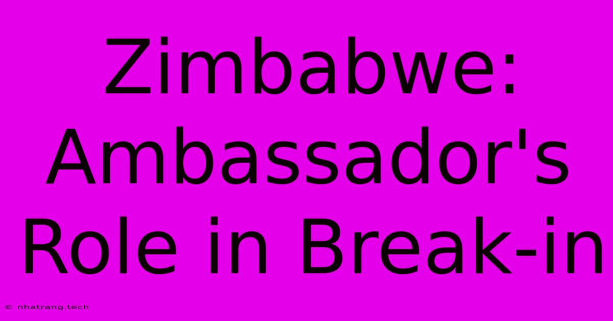 Zimbabwe: Ambassador's Role In Break-in Zimbabwe: Ambassador's Role In Break-in