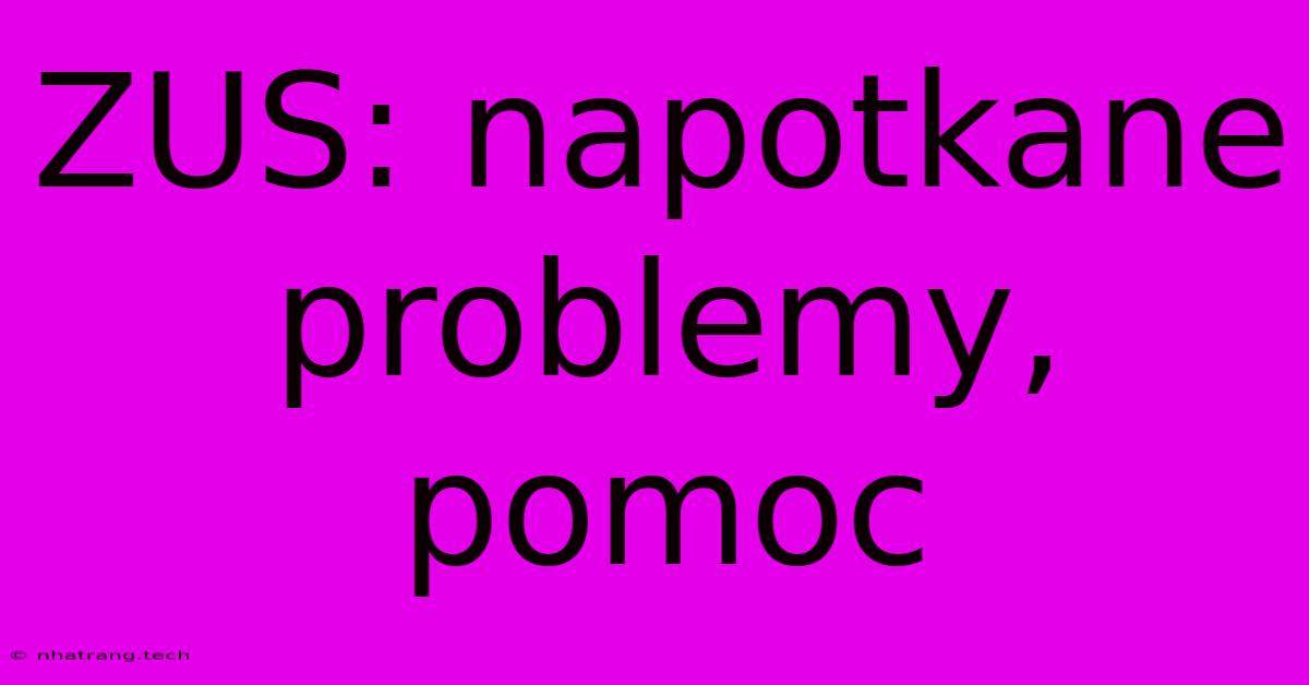 ZUS: Napotkane Problemy, Pomoc ZUS: Napotkane Problemy, Pomoc